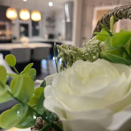 Jaktstuga Hollicarrs - White Rose *
