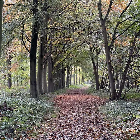 Hollicarrs - White Rose Hytte Riccall