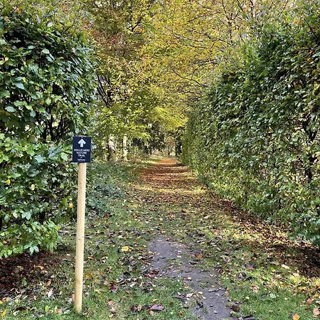 Hollicarrs - White Rose *