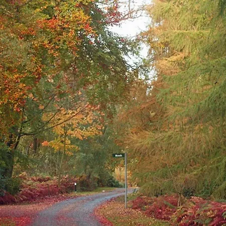 Hollicarrs - White Rose Riccall