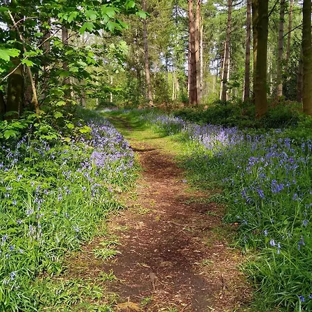 Hytte Hollicarrs - White Rose Riccall