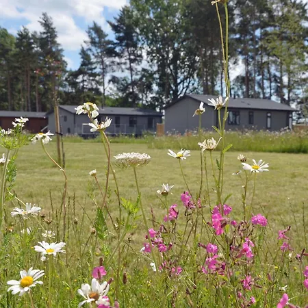 Hollicarrs - White Rose *